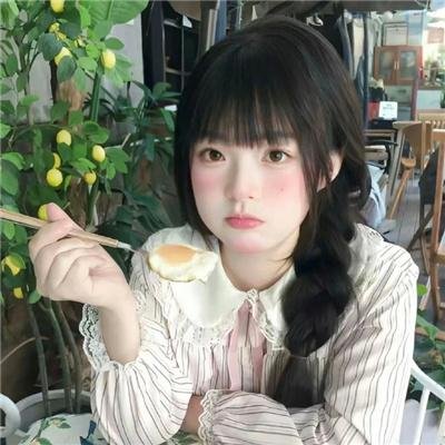 公猫